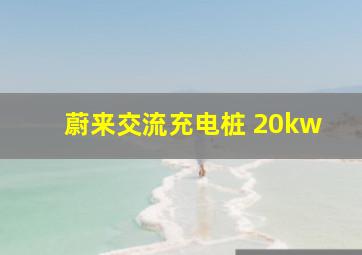 蔚来交流充电桩 20kw